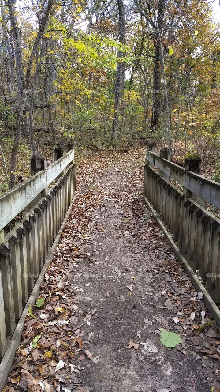 footbridge on hiking trail