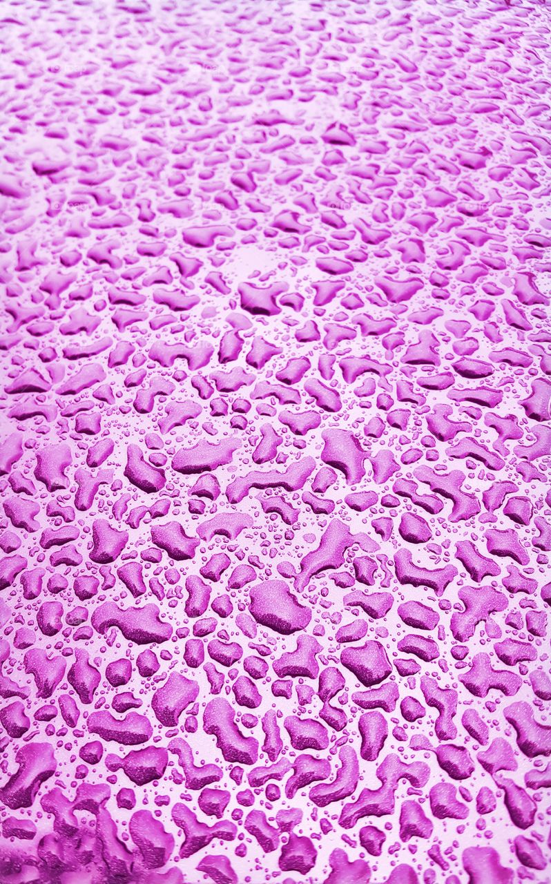 Water drops on pink background