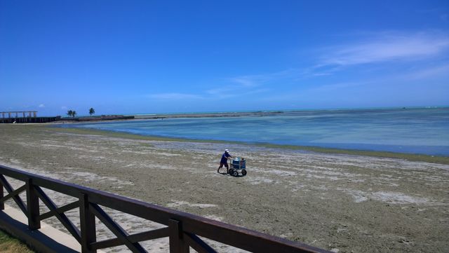 beach