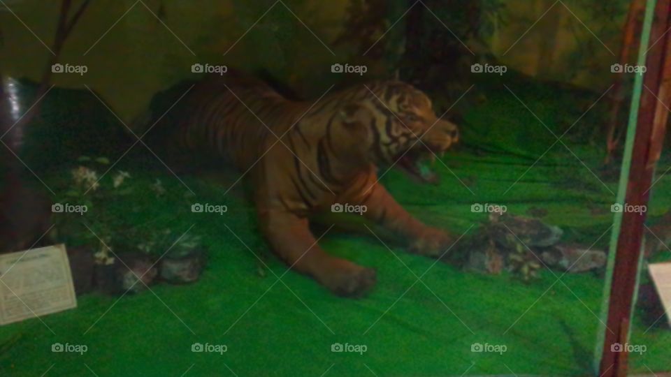 museum sang nila utama