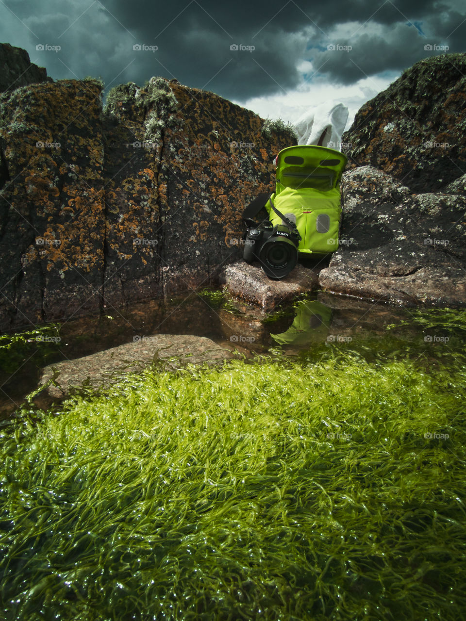 Green camera bag by the ocean full of green seaweed