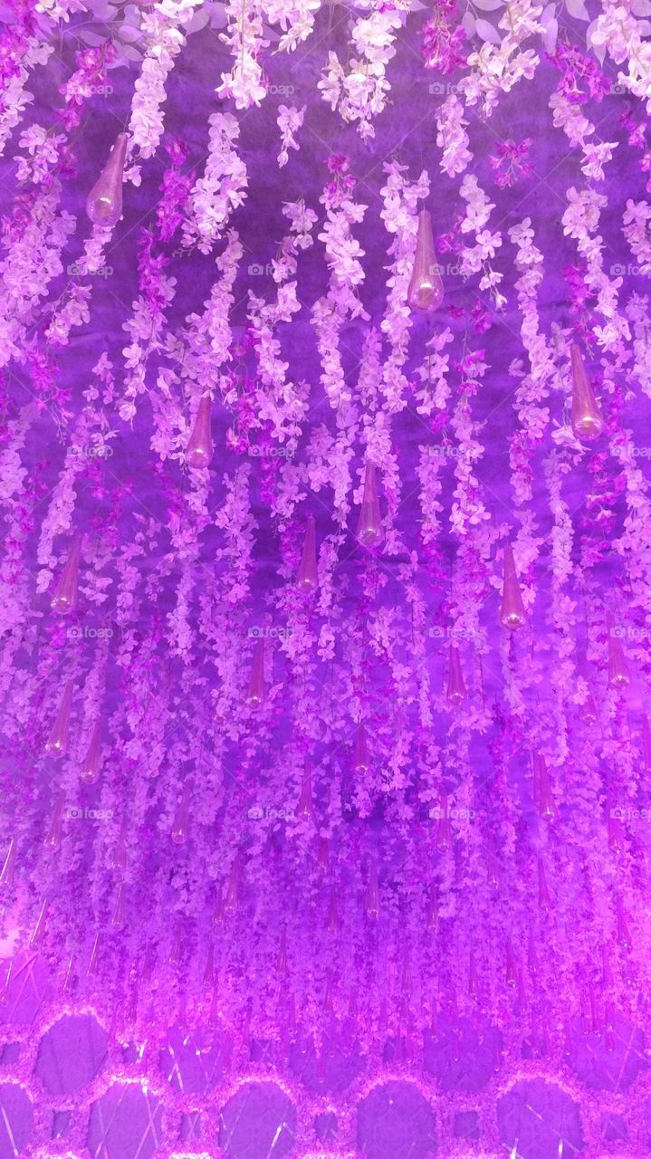 flower light purple decoration white