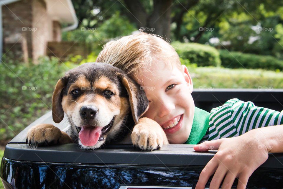 Cute, Young, Dog, Sit, Outdoors