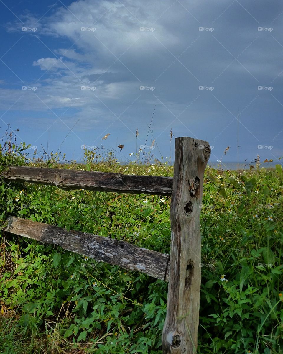 Fence Posts