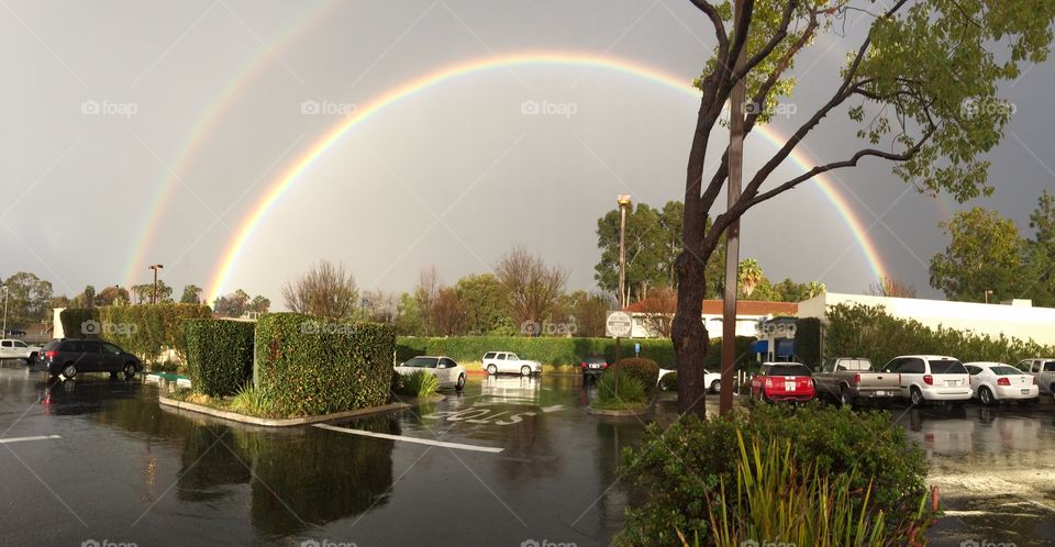 Panorainbow 