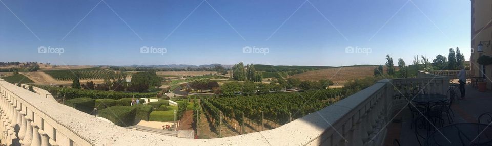 Beautiful Napa Valley winery 