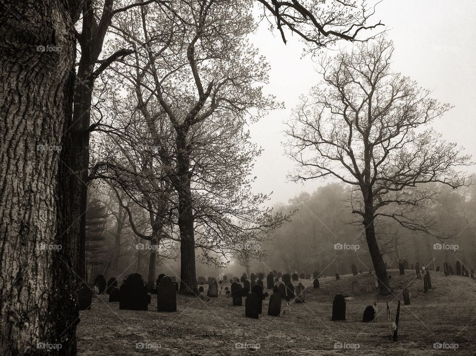 New England graveyard