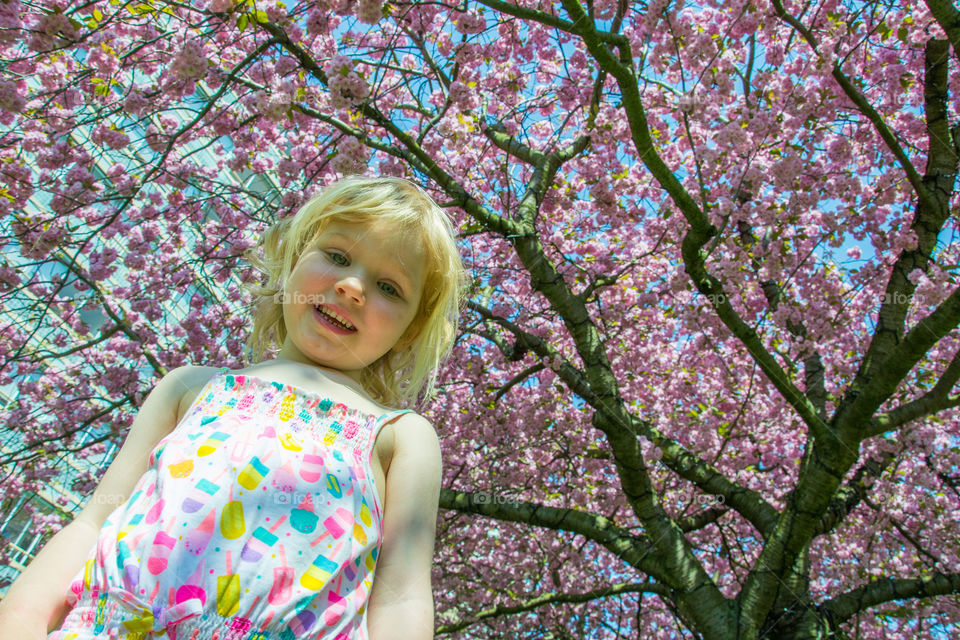 Young girl playing under a Cherry tree blossom in Malmö Sweden.