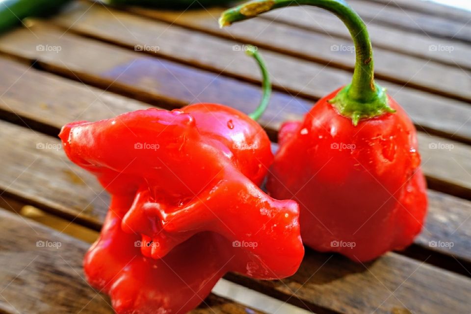 Chilli