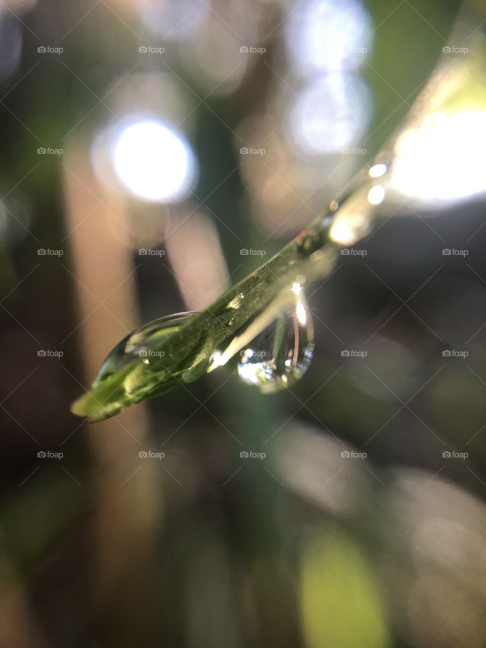 Drop of water