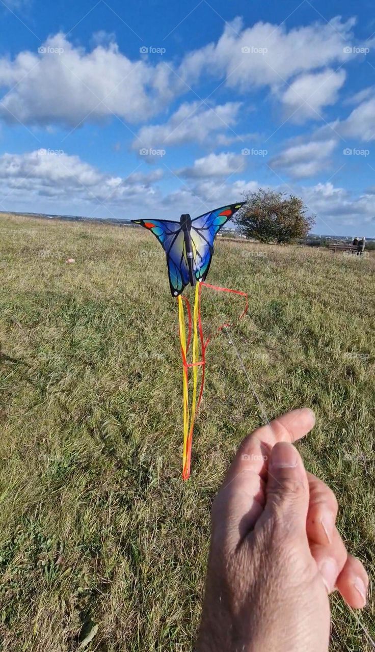 Kite over the sky