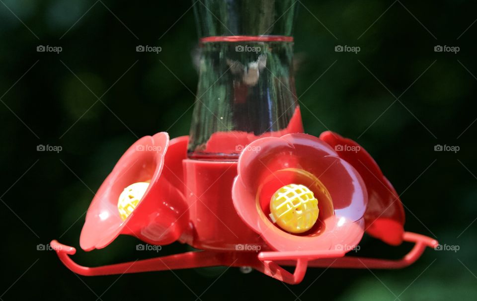 Red and yellow hummingbird feeder with hummingbird reflection in glass against dark green background.