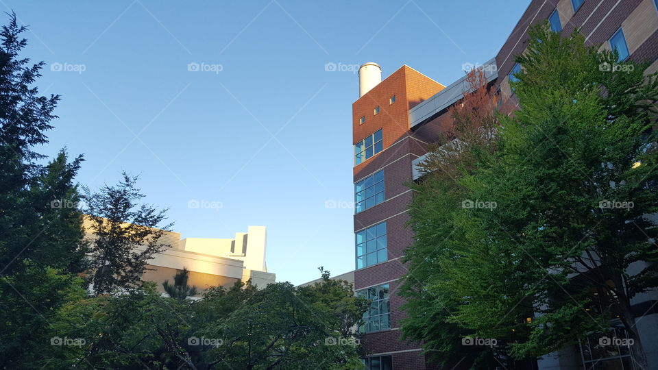 courtyard morning