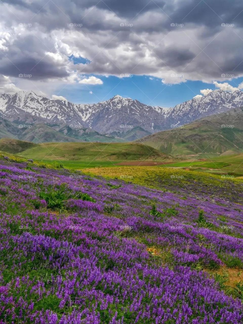 These mountains, Oshtoran kuh mountains are my happy place, my dreamy and peace place