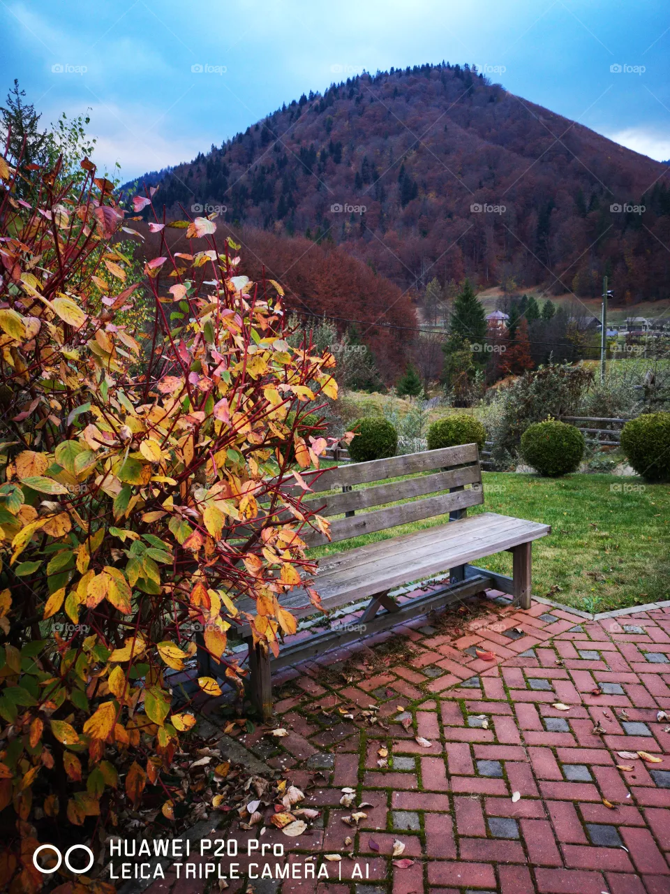 bench