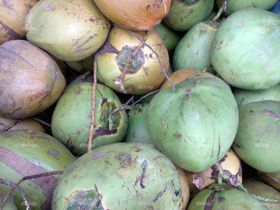 Coconuts