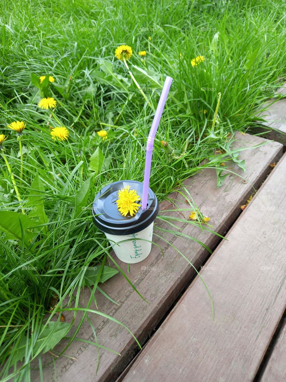 Nice coffee and dandelion spring