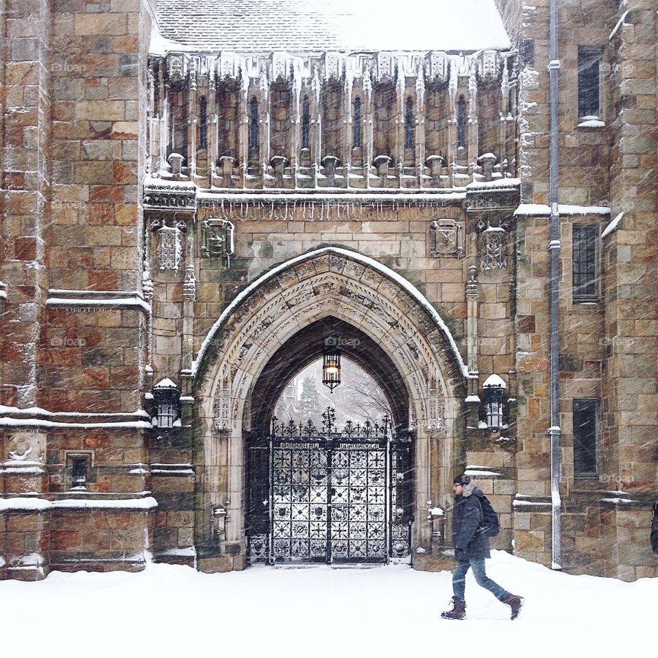 yale in snow 
