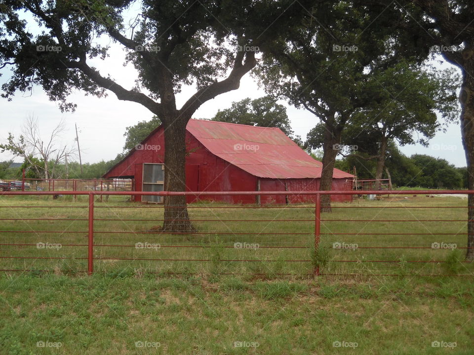 red barn. This is a picture of a Texas barn that I saw while out walking 🚶 🏃 🔥 💨