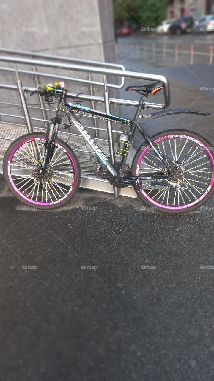 Bicycles are the best