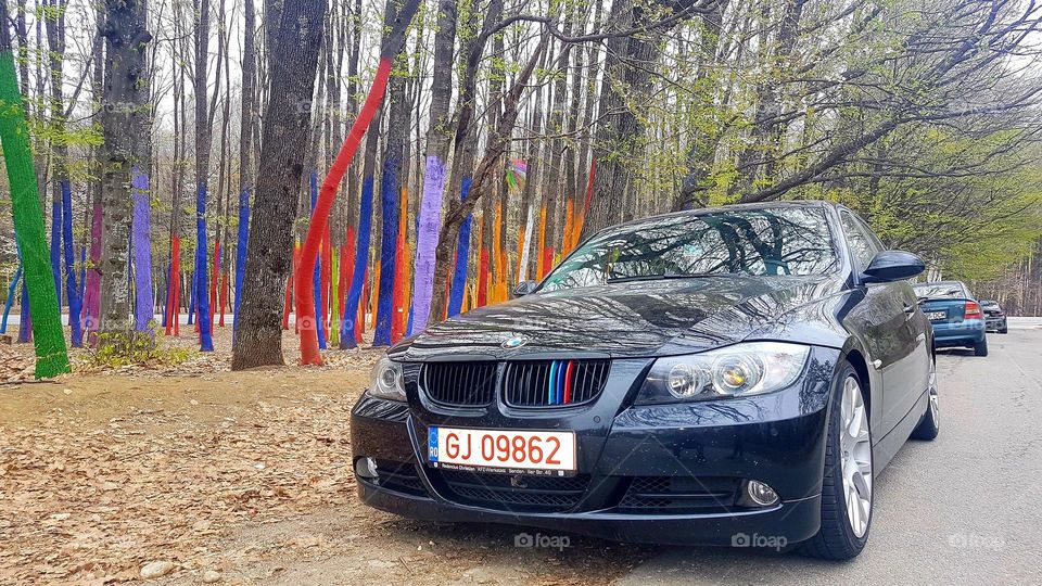 BMW MPower at colorful forest