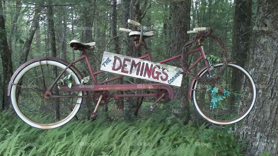 Hanging bicycle