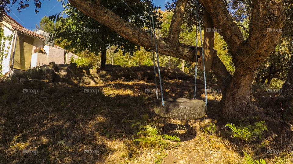 A swing made with a tire hanging on a tree in a rural farm in Central Portugal