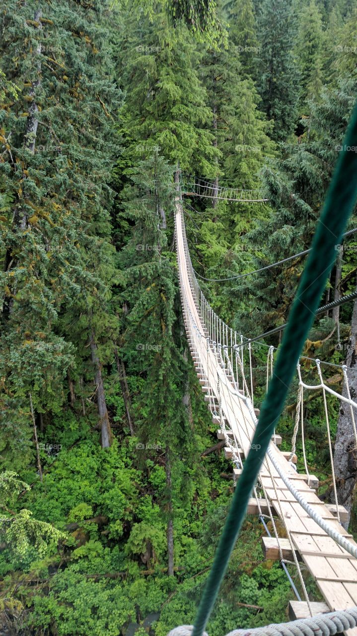 rope bridge