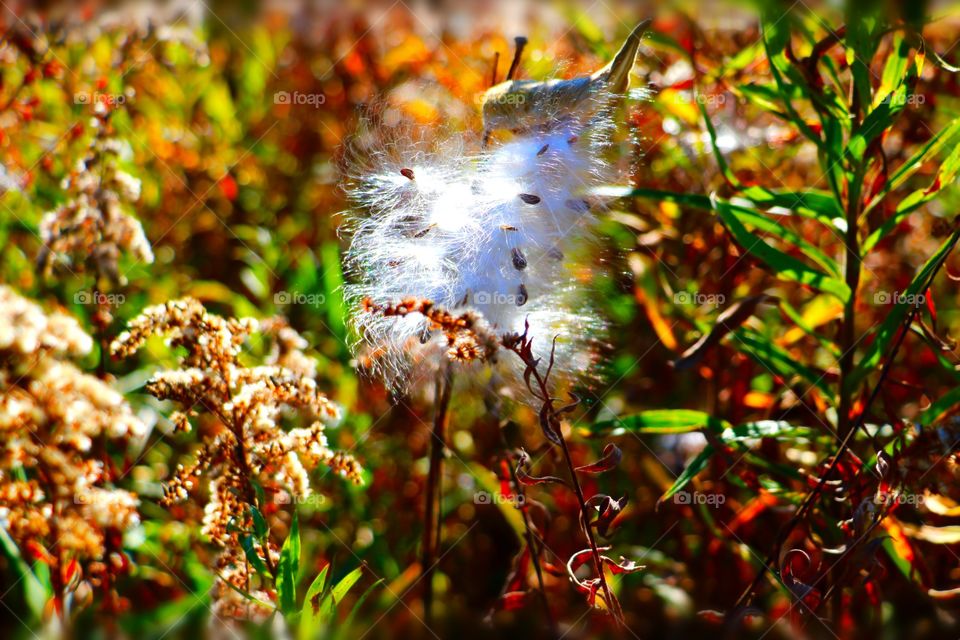 Nature at its finest