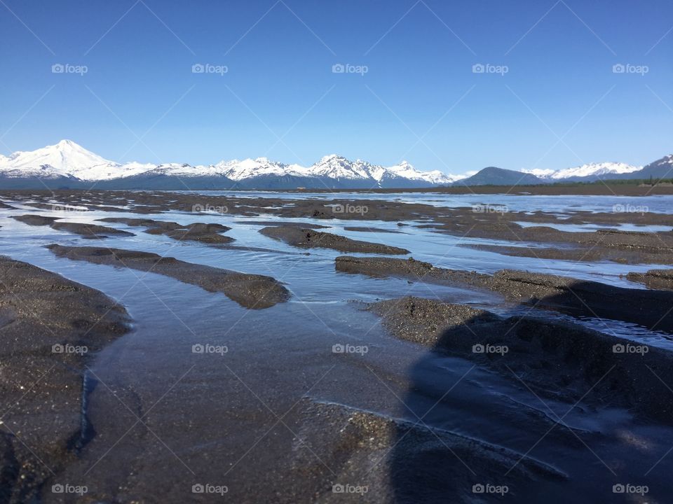 Alaskan Ocean floor at low tide