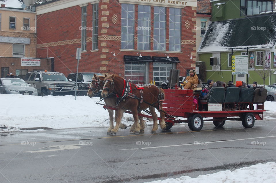 Horse and sled 