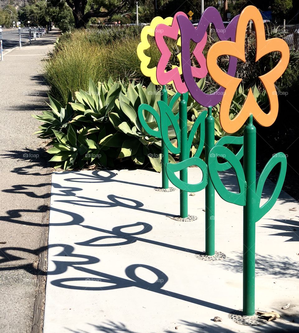 Flower Stand Shadows