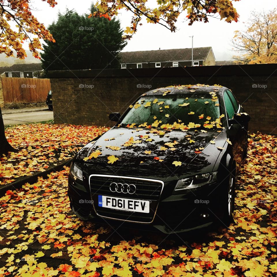 Audi A4 autumn picture 