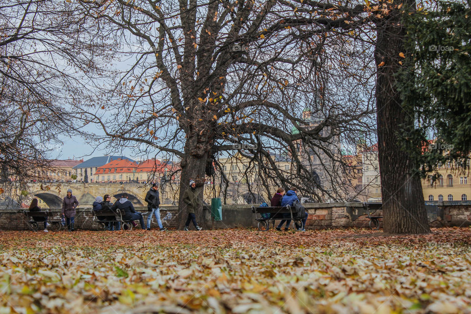 Walk through the park to Prague.