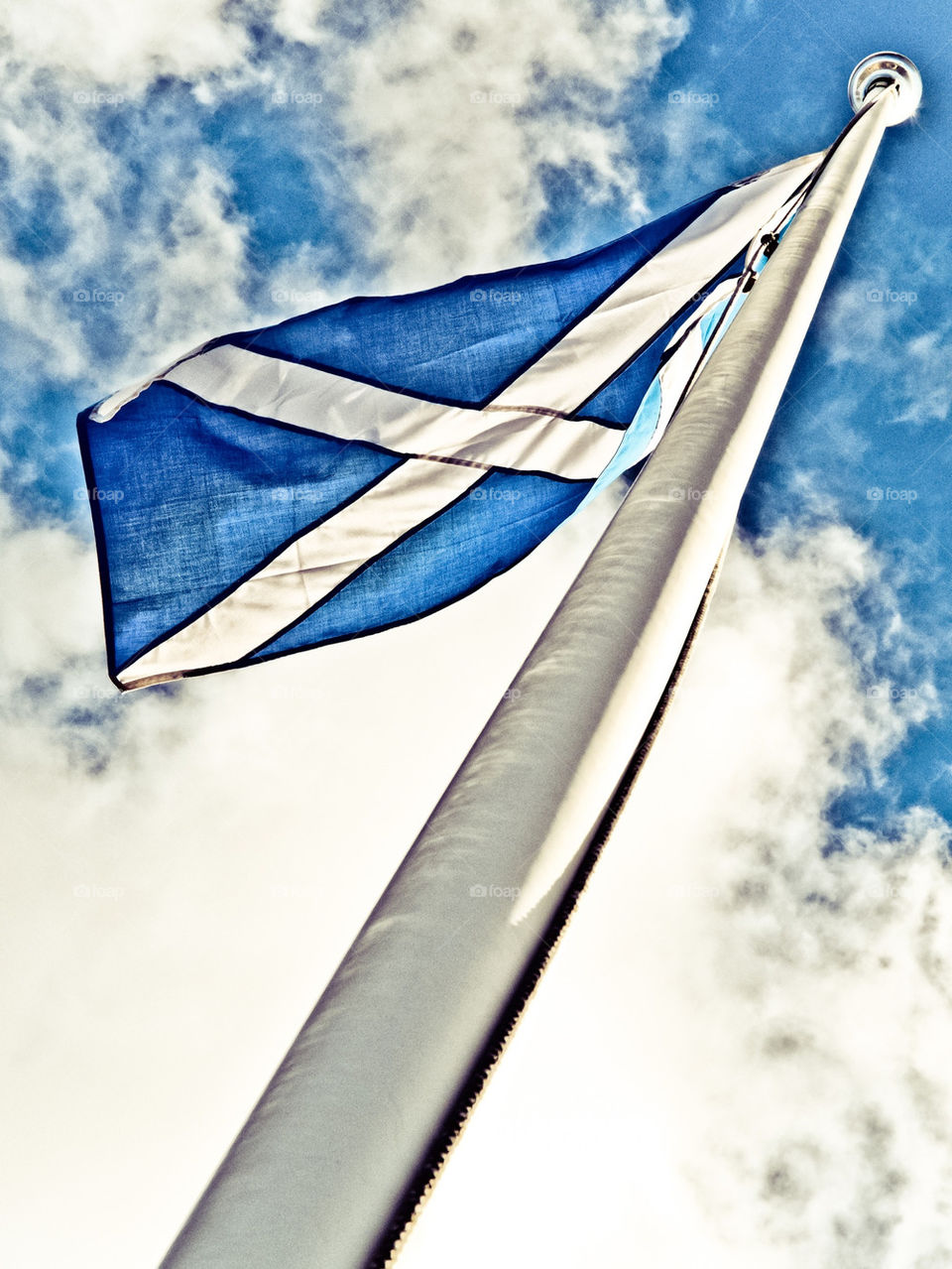 The Scottish Flag