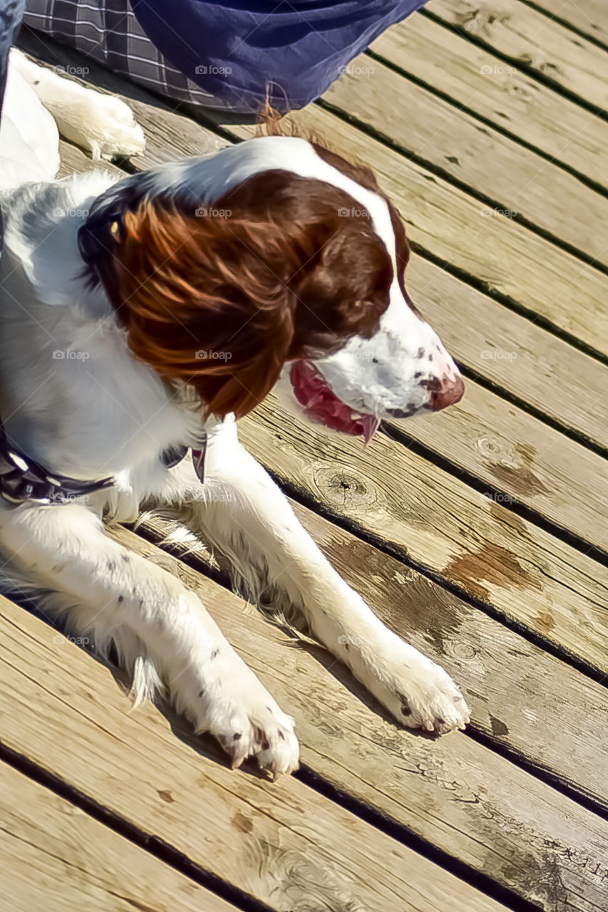 Hanging out at the beach