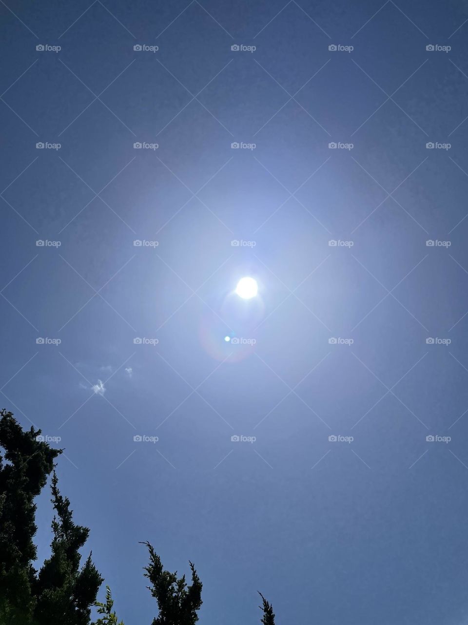 We are not alone in this world 🌎