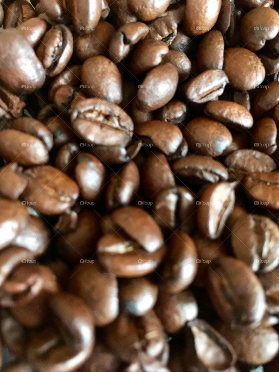 Coffee beans close up. 