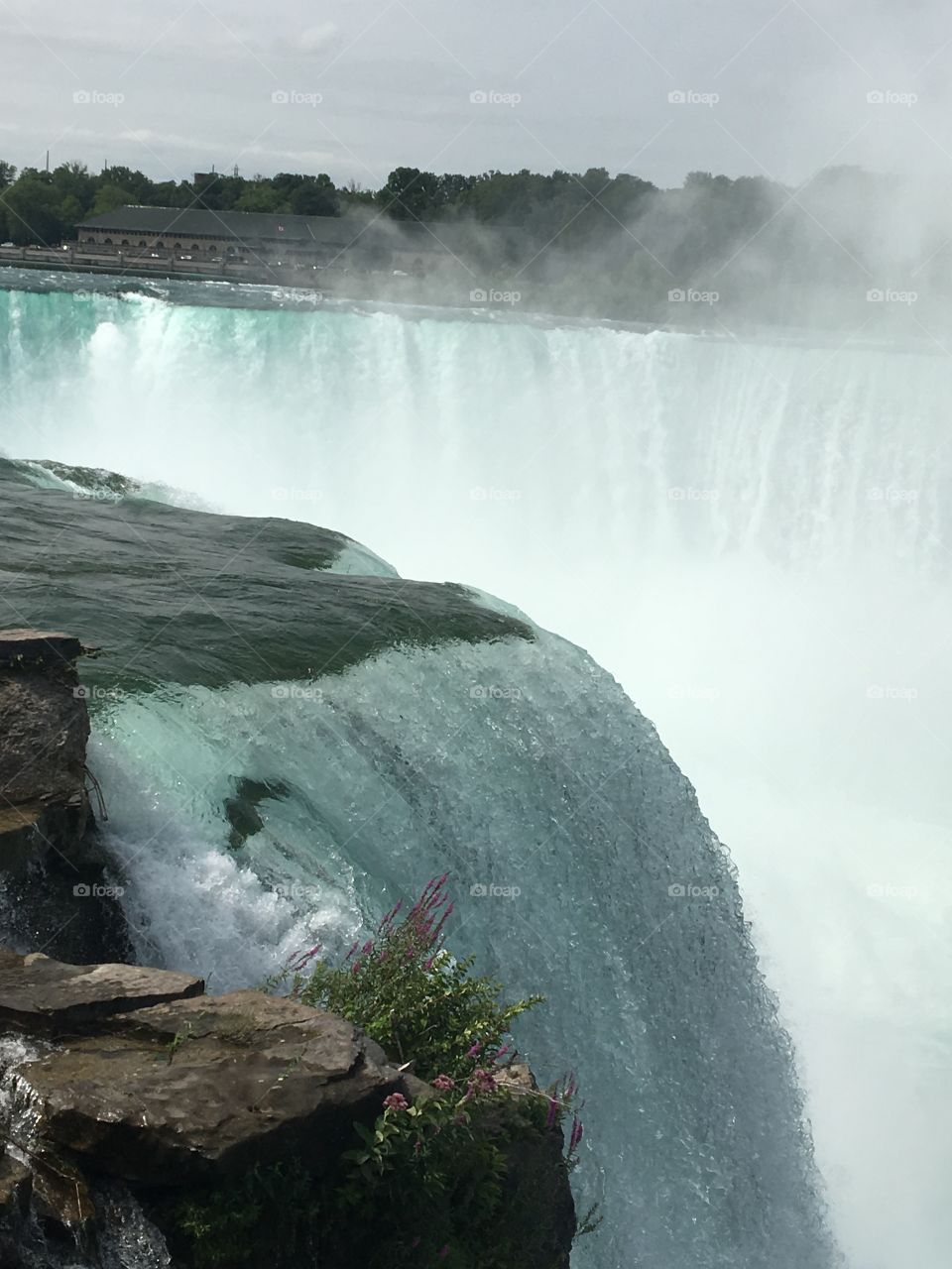 Falls of Niagara 
