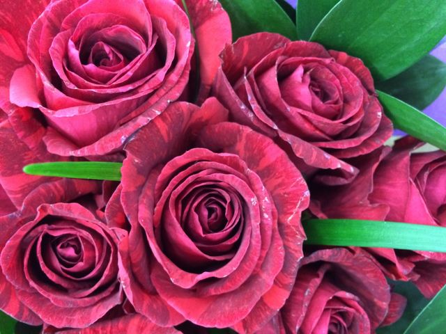 rose