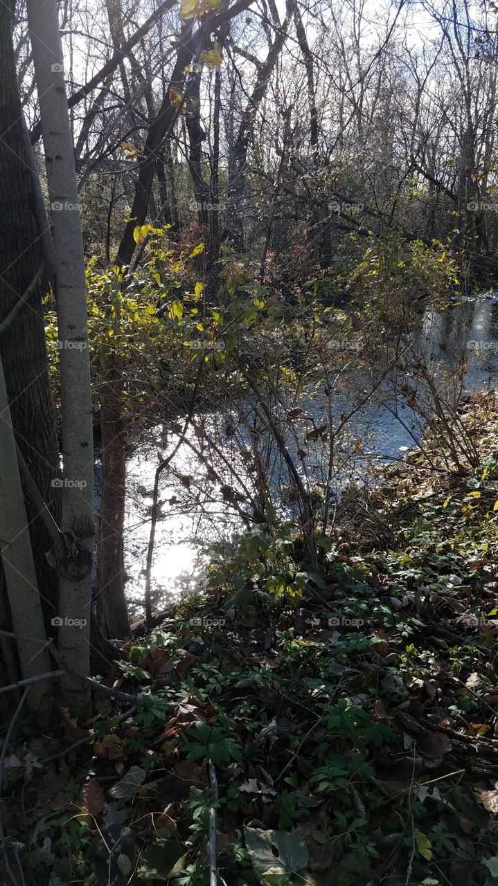 fall trip through the woods