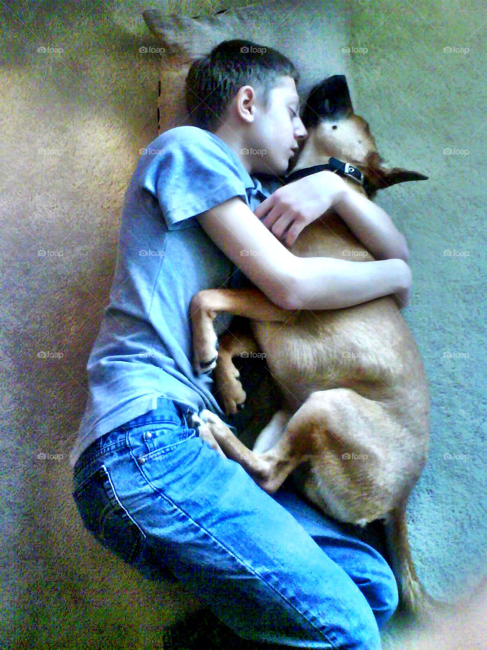 dog boy sleep hug by kmcw1405