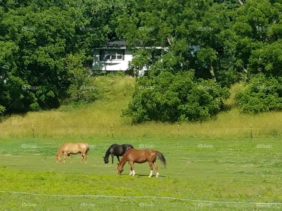 Driving the Back Roads and enjoying everything around us