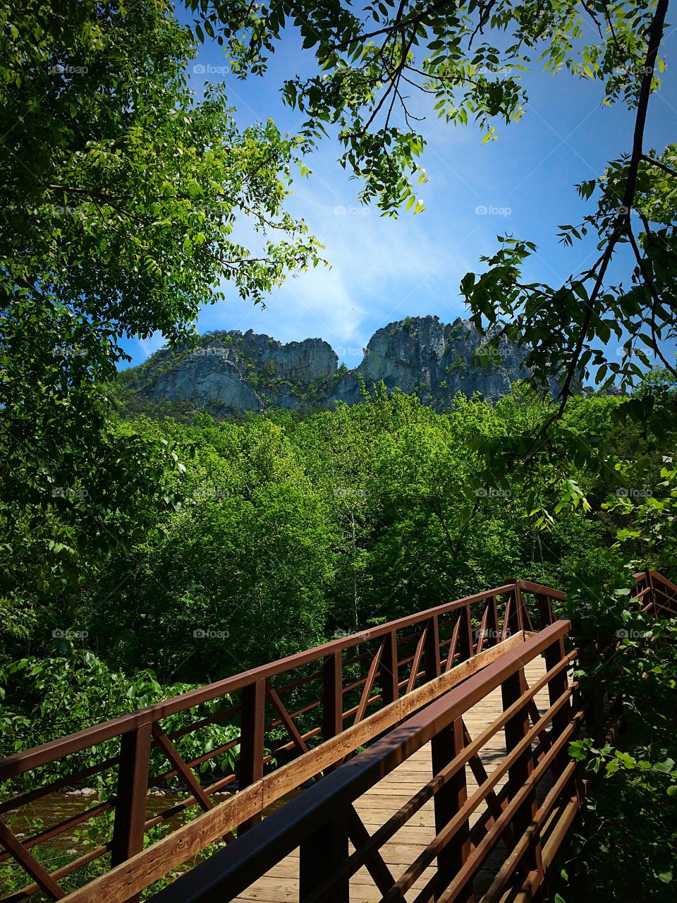 Wild and wonderful. Picture taken after summiting the south peak of this mountain. Seneca Rocks, WV