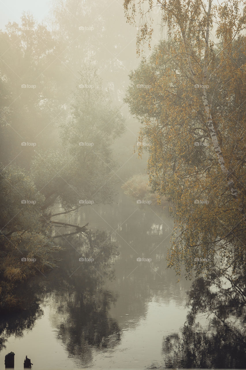 Autumn misty landscape at early morning 