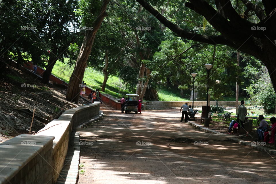park
