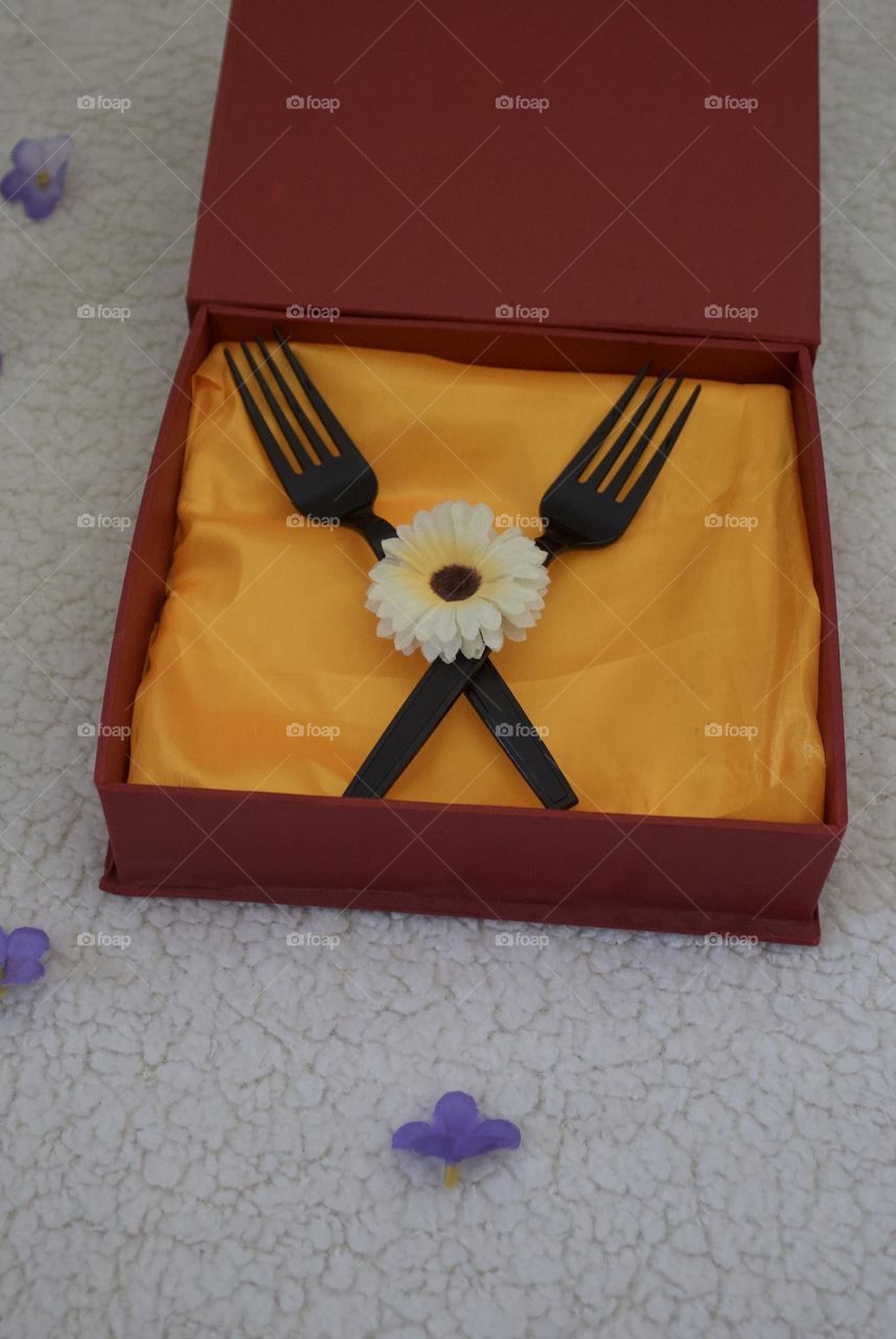 Fork gift box 