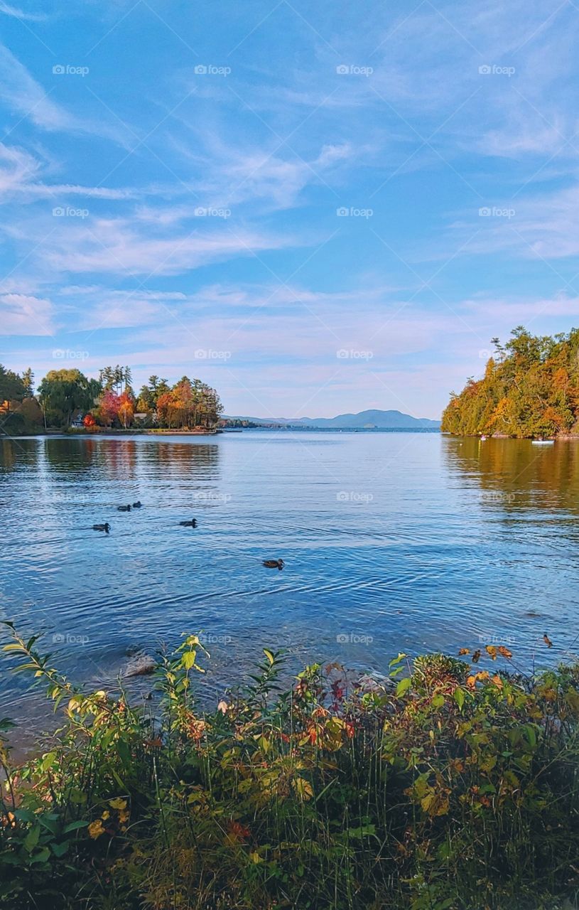 The Adirondack Wilderness!