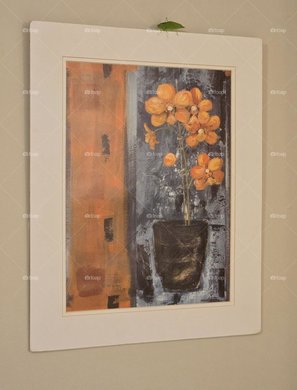 Why is the grasshopper on the picture, and how did it get up there? Ugh!