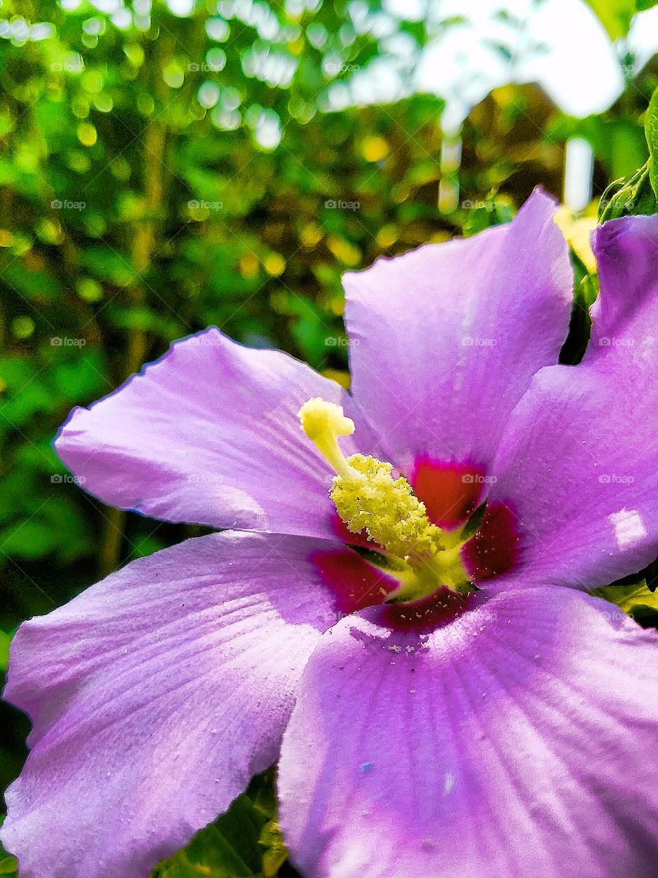 Taking in the mornings glory